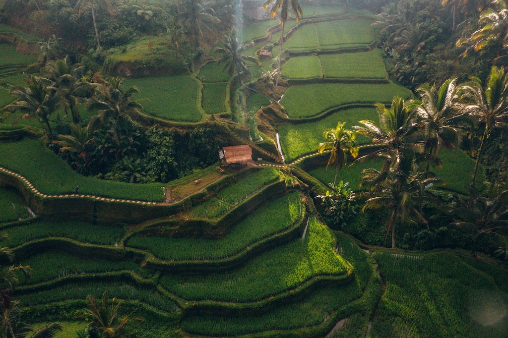 Where to stay in Ubud.